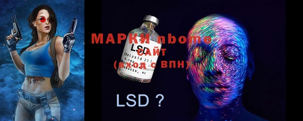 индика Алексеевка