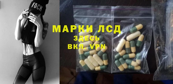 индика Алексеевка
