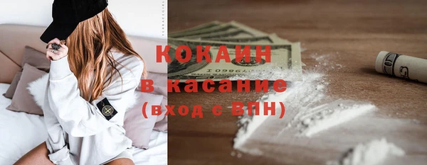 индика Алексеевка