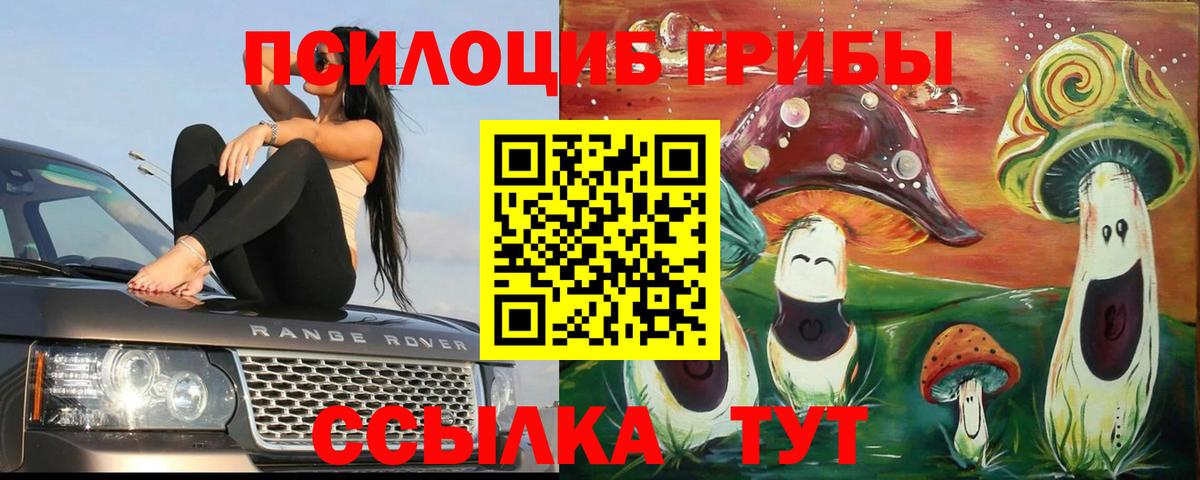 Галлюциногенные грибы мухоморы  Вход с VPN  Галлюциногенные грибы MAGIC MUSHROOMS  Карасук 